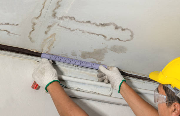 Reliable Mold Remediation contractor in Hartsburg, MO by Water Damage Irwin
